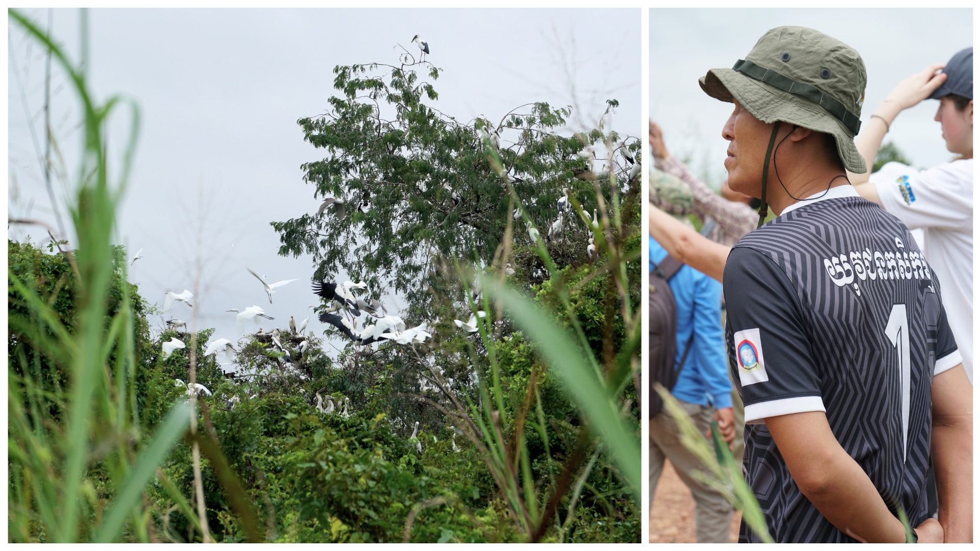 Wildlife health surveillance SOP simulation exercise 2024