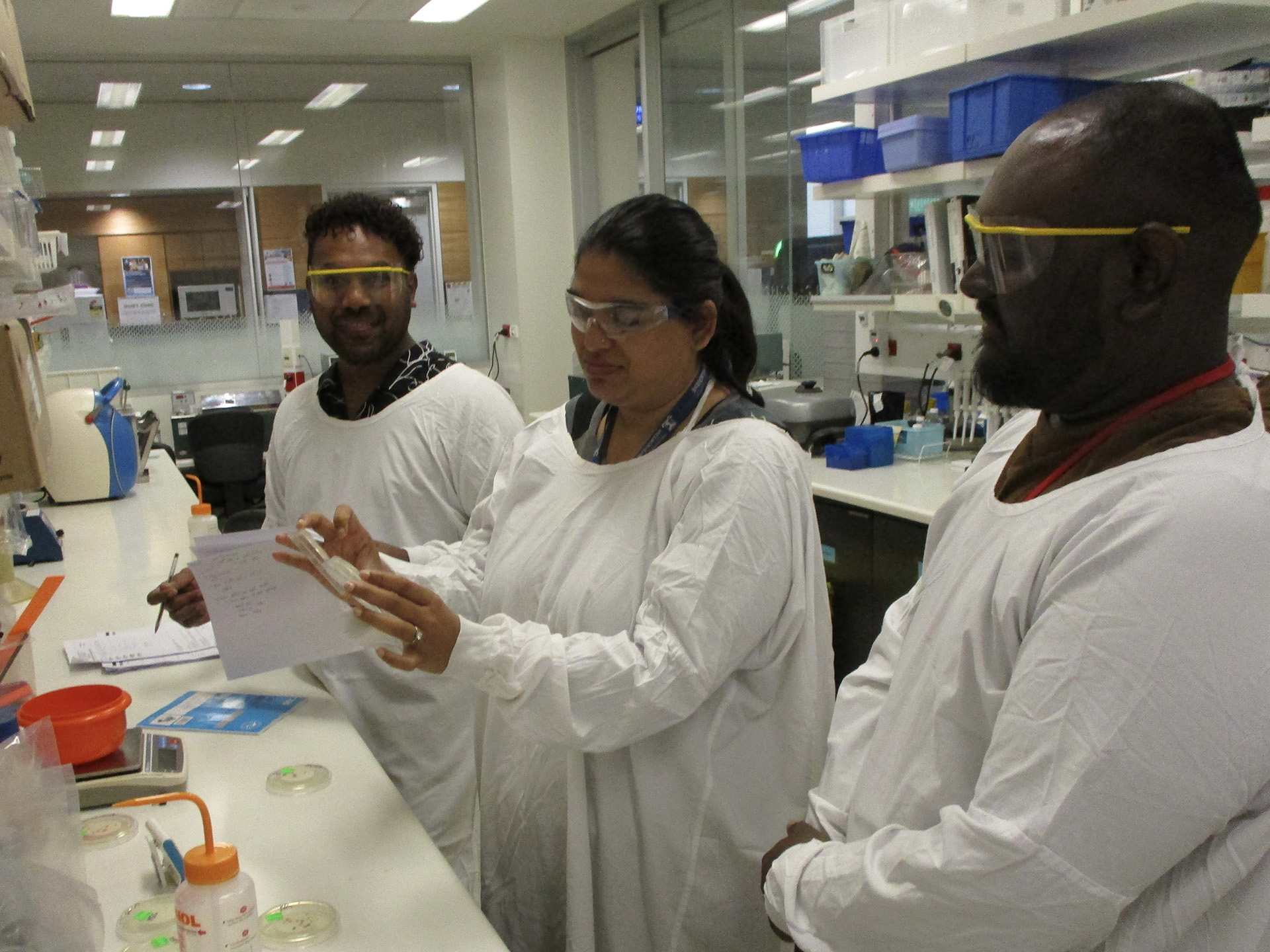 Three people in white lab coats stand in a lab, with one holding a petri dish and explaining to the others. Lab equipment and supplies are visible on counters and shelves in the background.