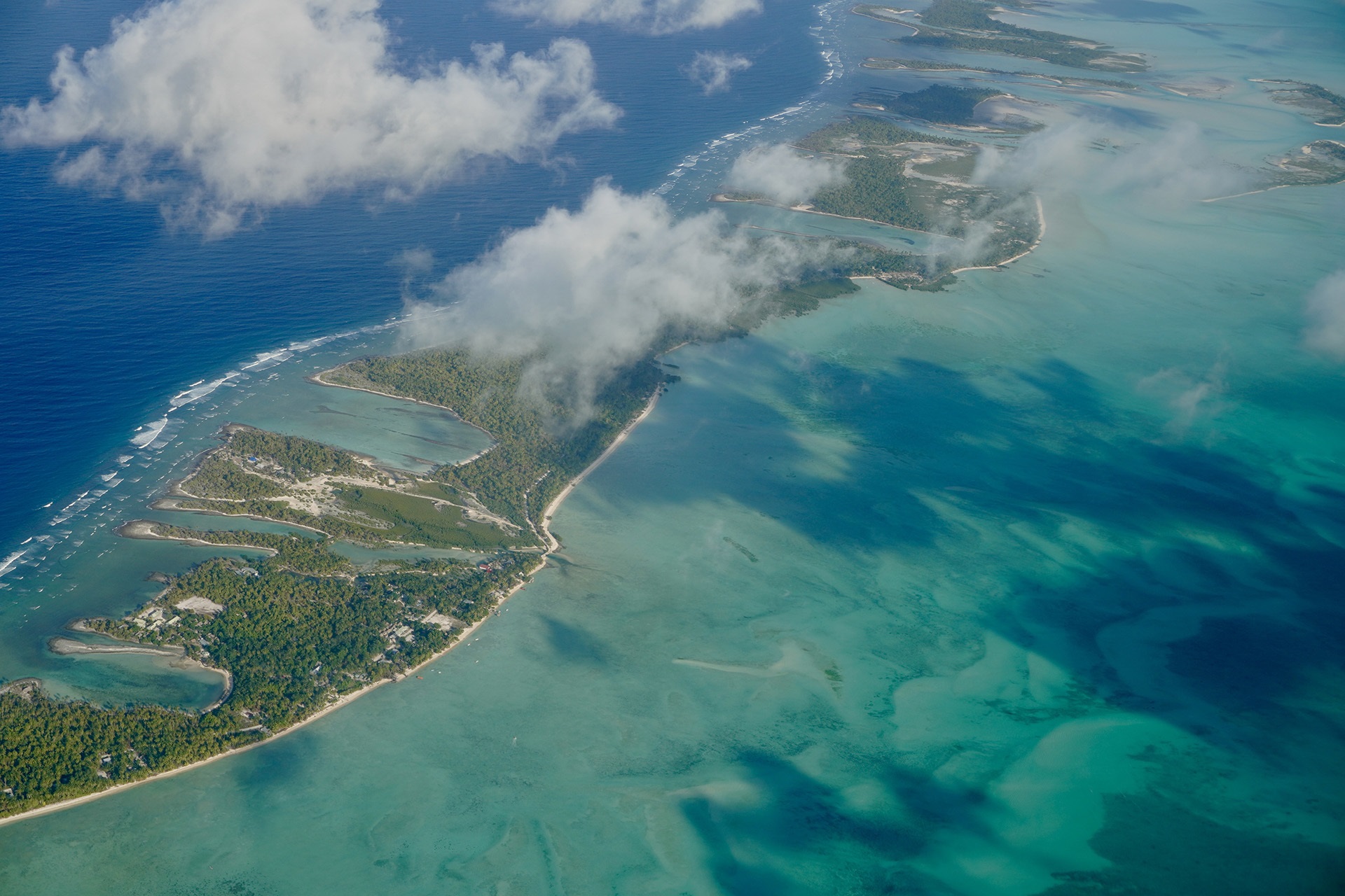 Coconut halves drying on a corrugated roof near thatched huts, palm trees, and hanging laundry in a tropical village.