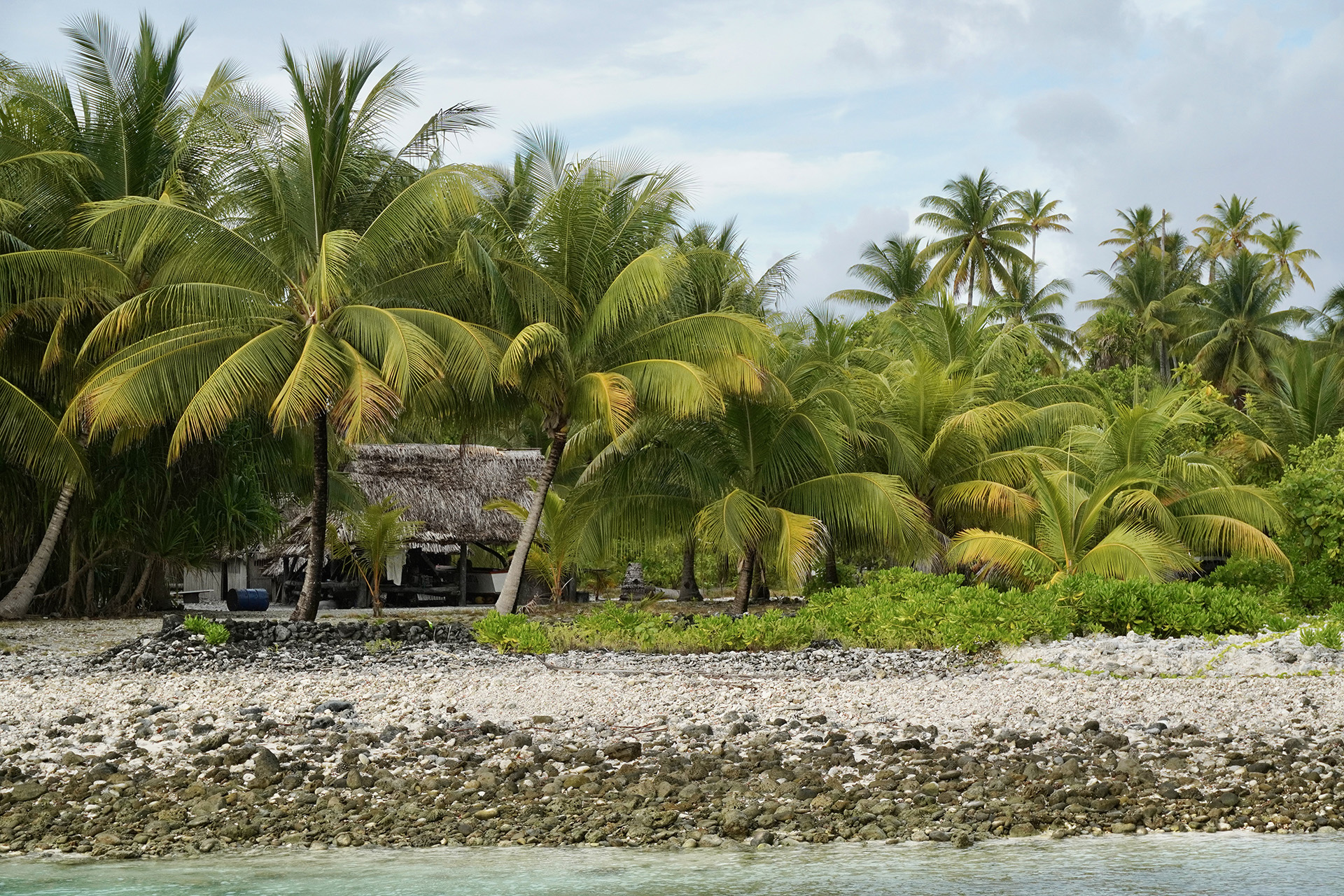 Thatched hut surrounded by palm trees on a rocky shoreline with turquoise water in the foreground.