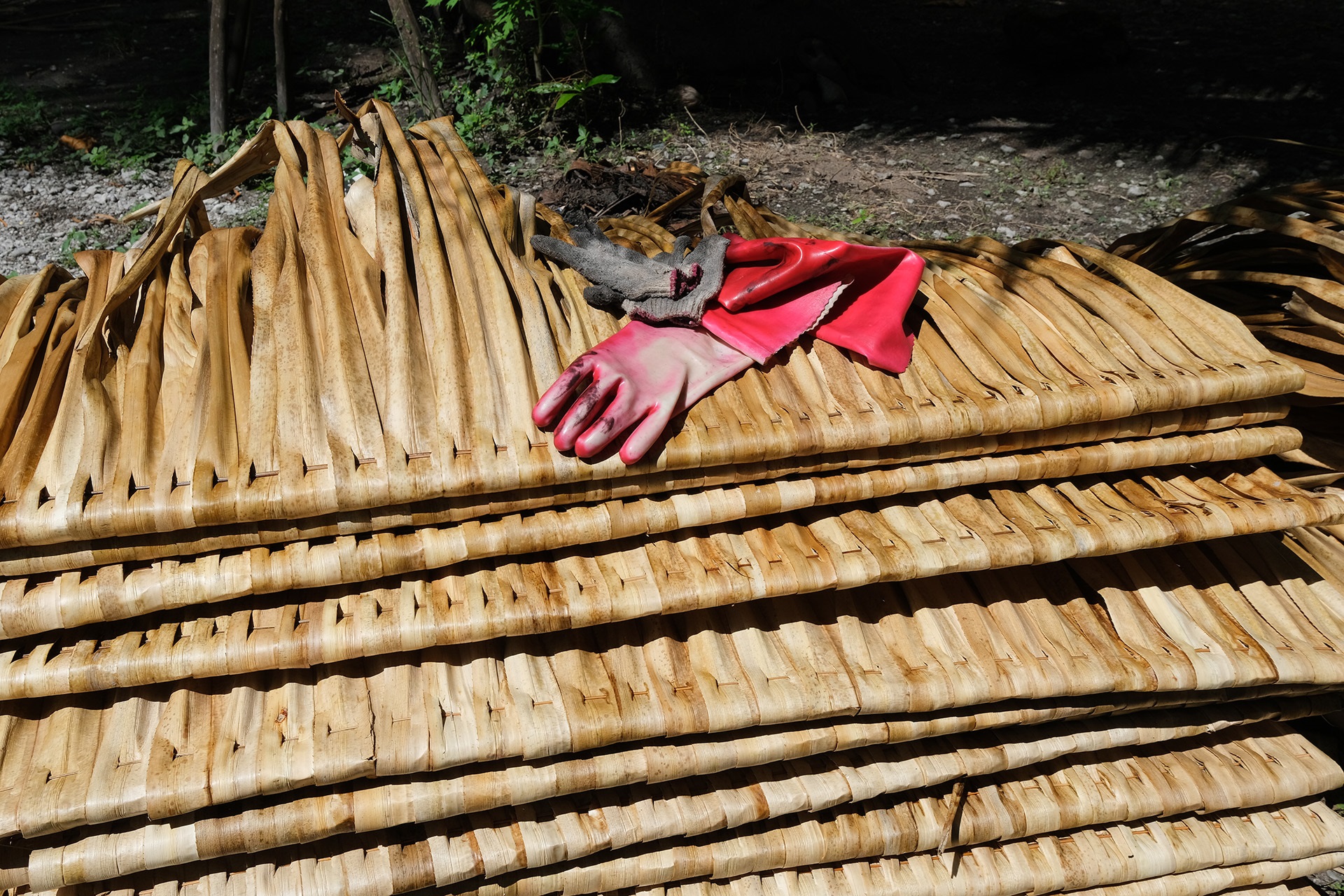 Coconut halves drying on a corrugated roof near thatched huts, palm trees, and hanging laundry in a tropical village.