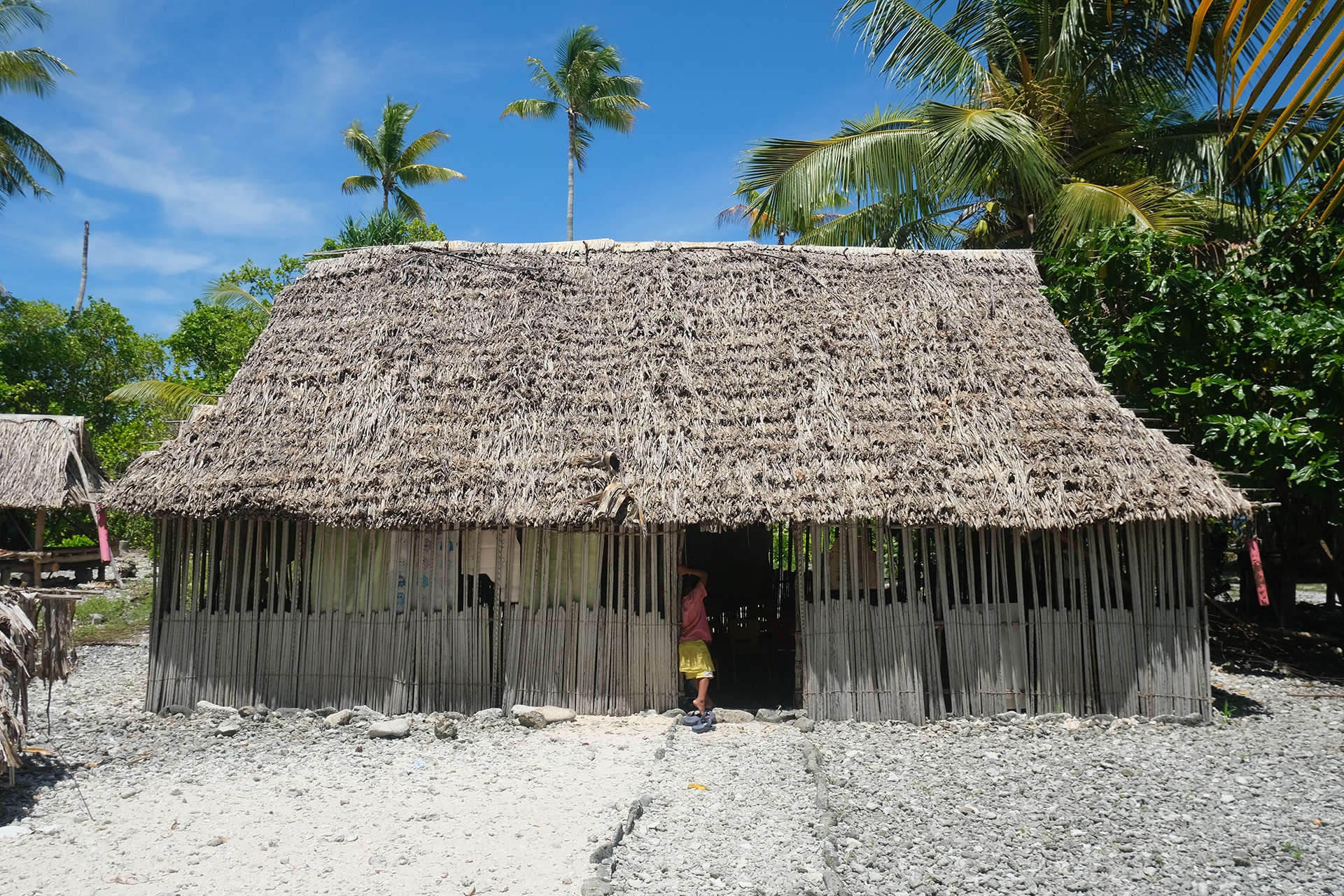Coconut halves drying on a corrugated roof near thatched huts, palm trees, and hanging laundry in a tropical village.