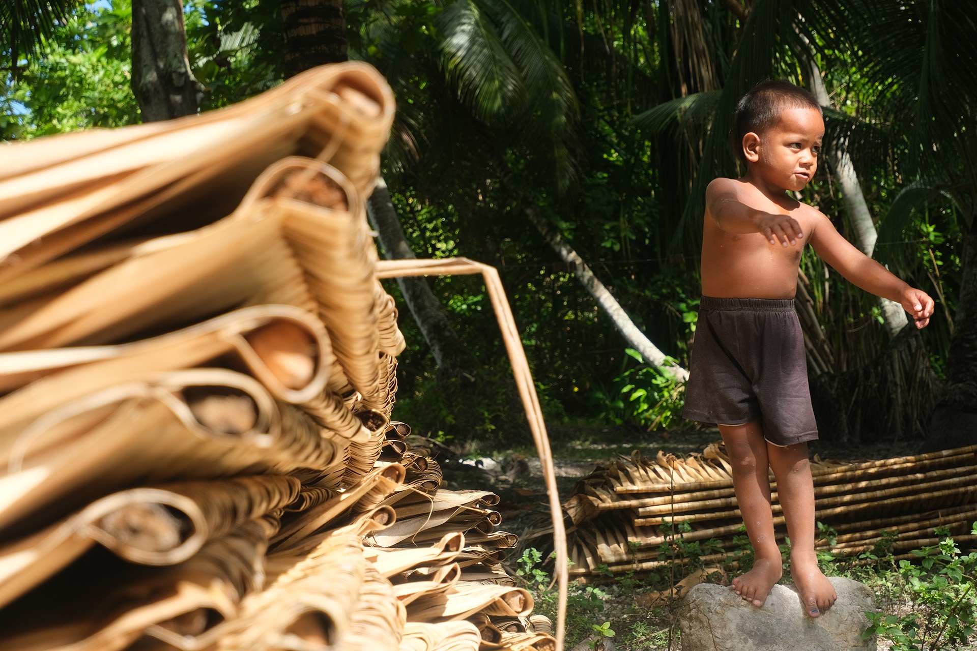 Coconut halves drying on a corrugated roof near thatched huts, palm trees, and hanging laundry in a tropical village.