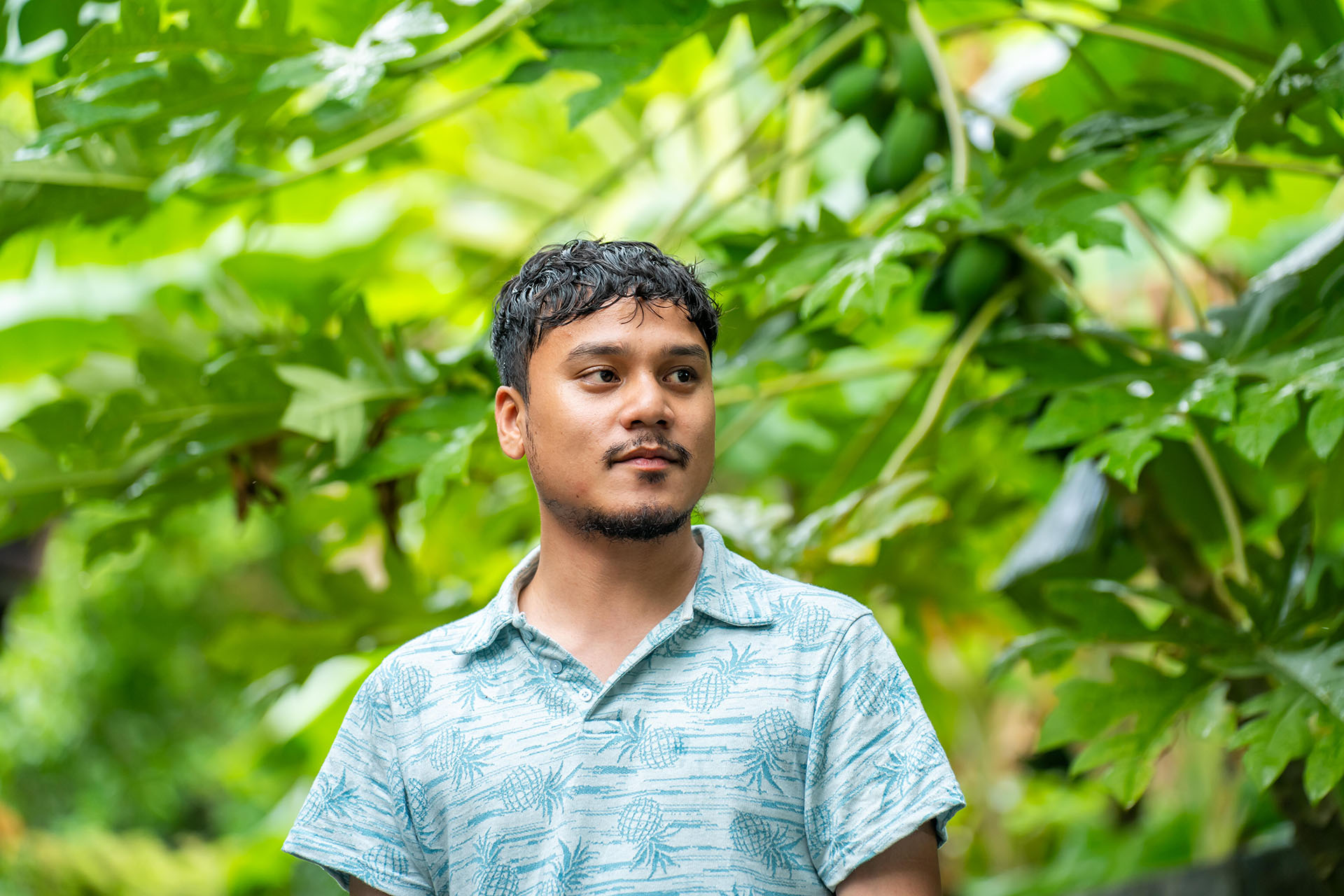 Man standing under lush green papaya leaves, wearing a light blue patterned shirt, looking to the side outdoors.