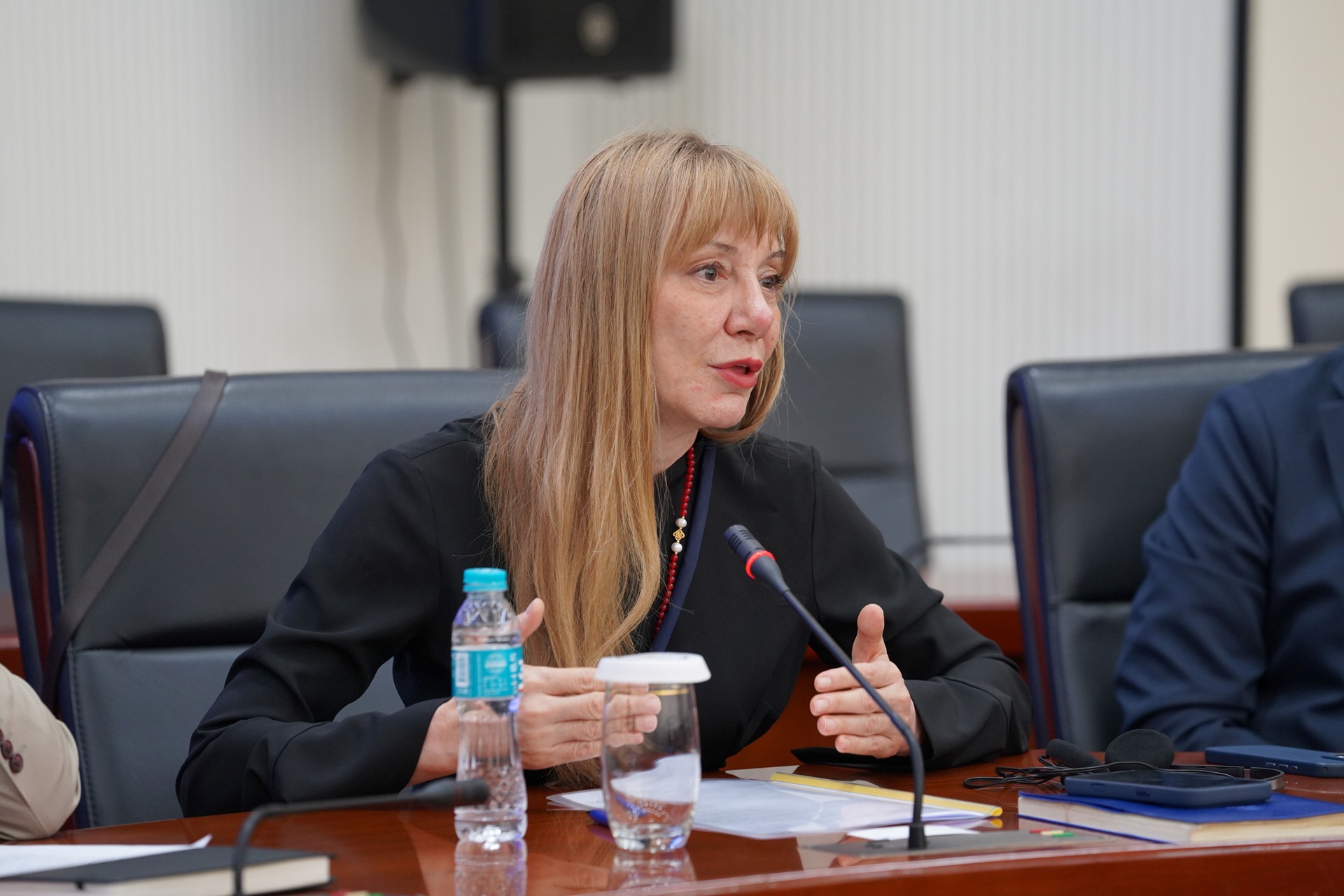 Participant speaks on a microphone at a conference table, gesturing over documents.