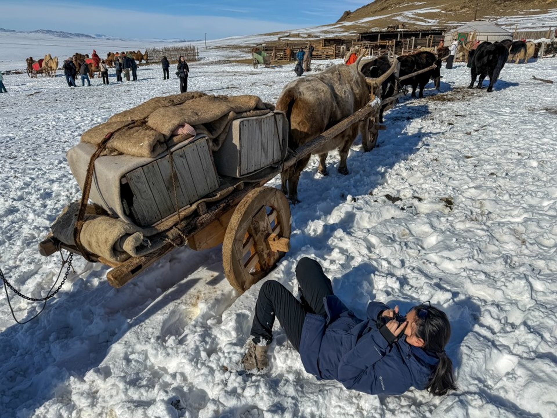 A person takes a photo of a horse-drawn carriage on snowy ground