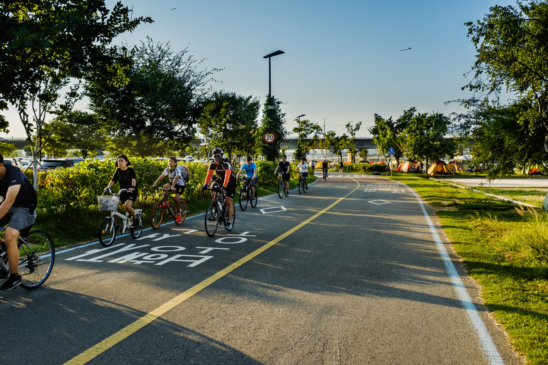 People biking on a bike lane surrounded by trees