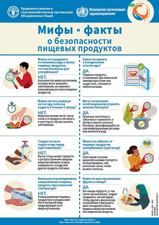 Russian World Food Safety Day 2022 infographics