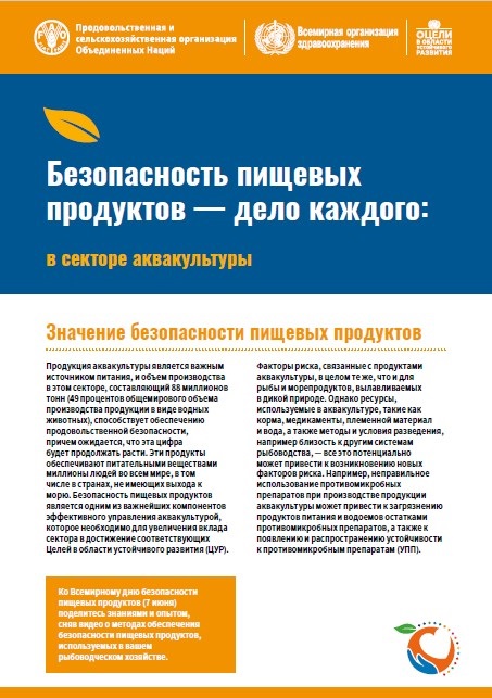 business-in-aquaculture Russian - Food safety is everyone’s business in aquaculture publication cover