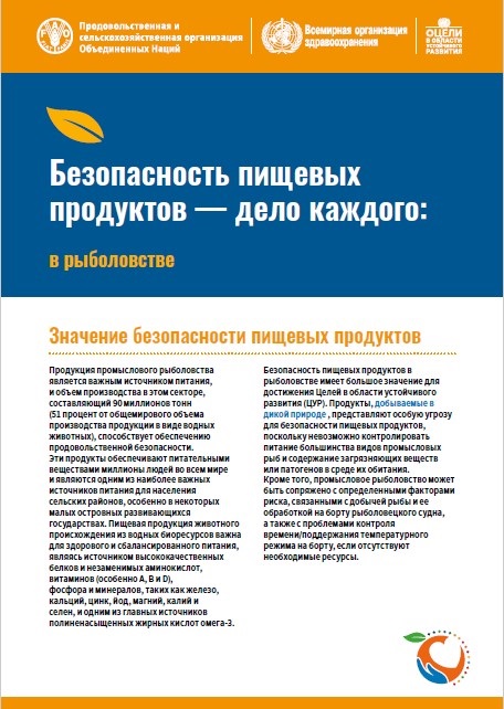 business-in-fisheries Russian - Food safety is everyone’s business in fisheries publication cover