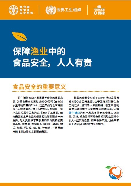 business-in-fisheries Chinese - Food safety is everyone’s business in fisheries publication cover
