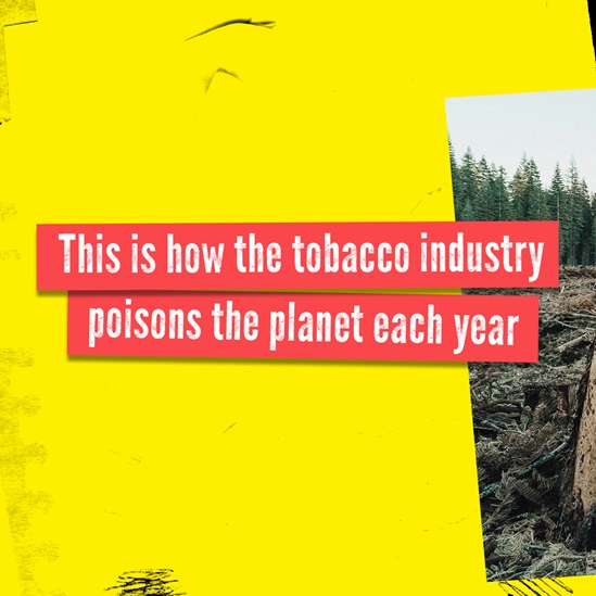 This is how the tobacco industry poisons the planet each year World No Tobacco Day 2022 Instagram