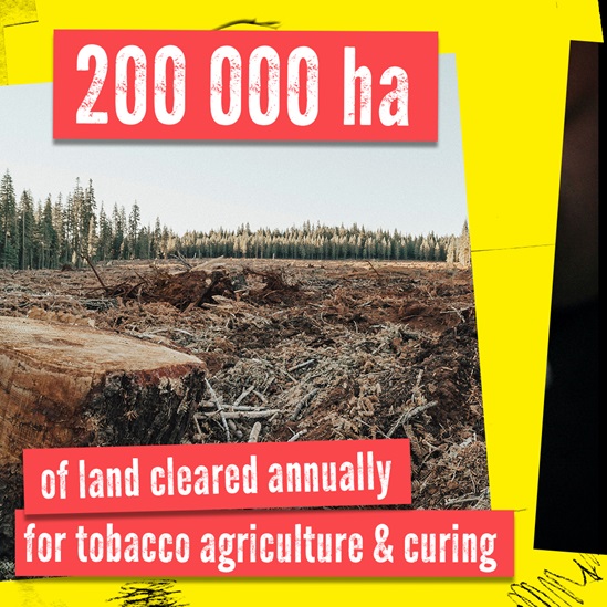 200 000 ha or land cleaned annually for tobacco agriculture World No Tobacco Day 2022