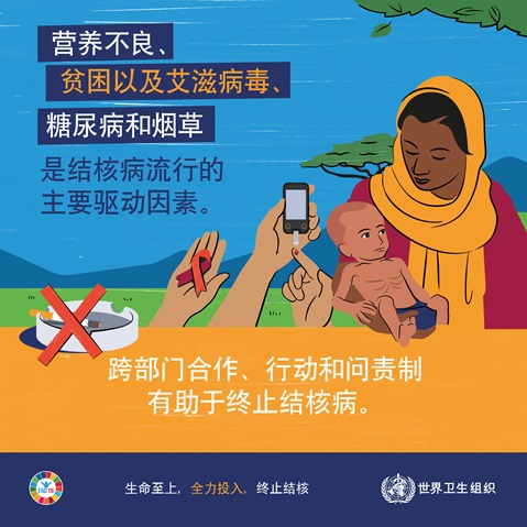 2022年世界防治结核病日社交媒体图片07