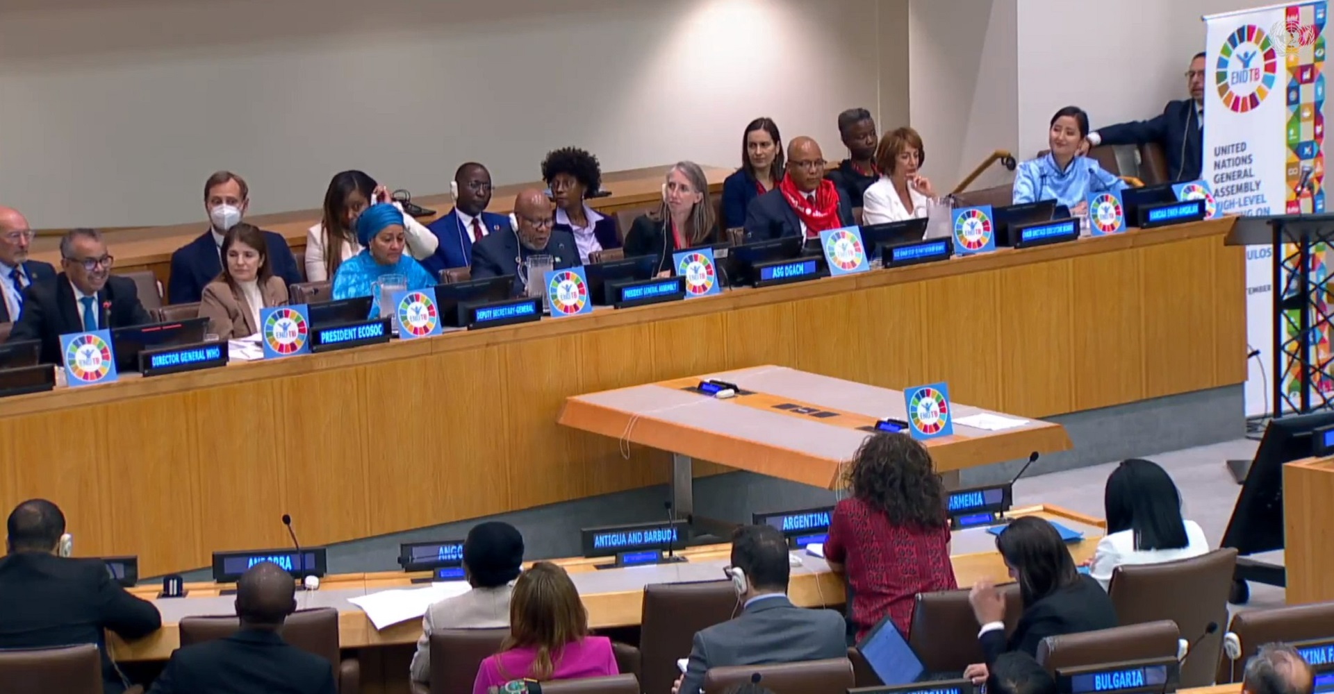 UNGA  High-level meeting on Tuberculosis