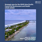 Cover image of ACE's strategic plan