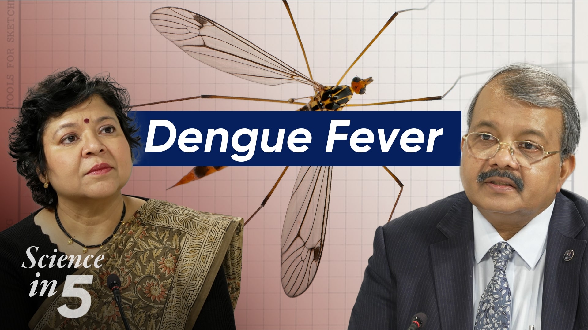 Science in 5 - Ep 115 - Dengue Fever Science in 5 podcast - Dengue Fever