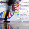 Photo of a wall display of WHO Values Charter, with the shadow of a person's legs walking by.