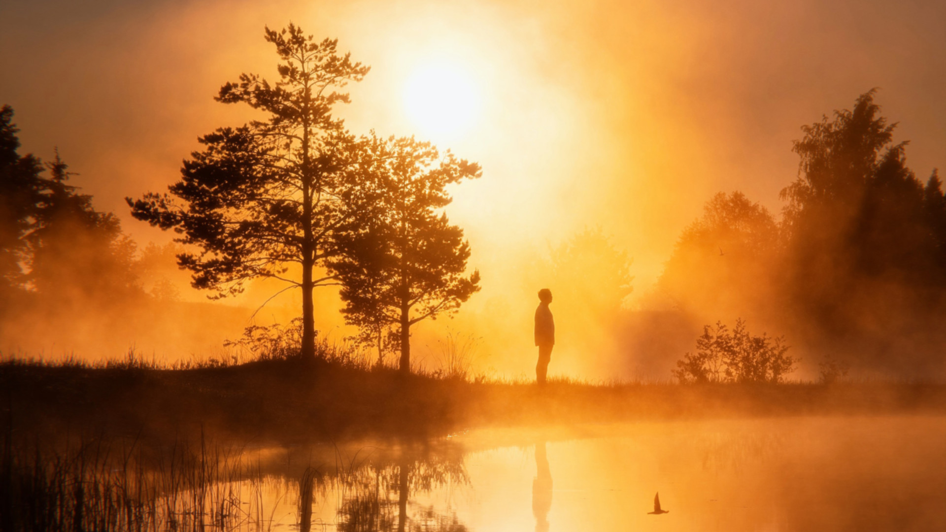 A person standing close to a lake watching the sunset