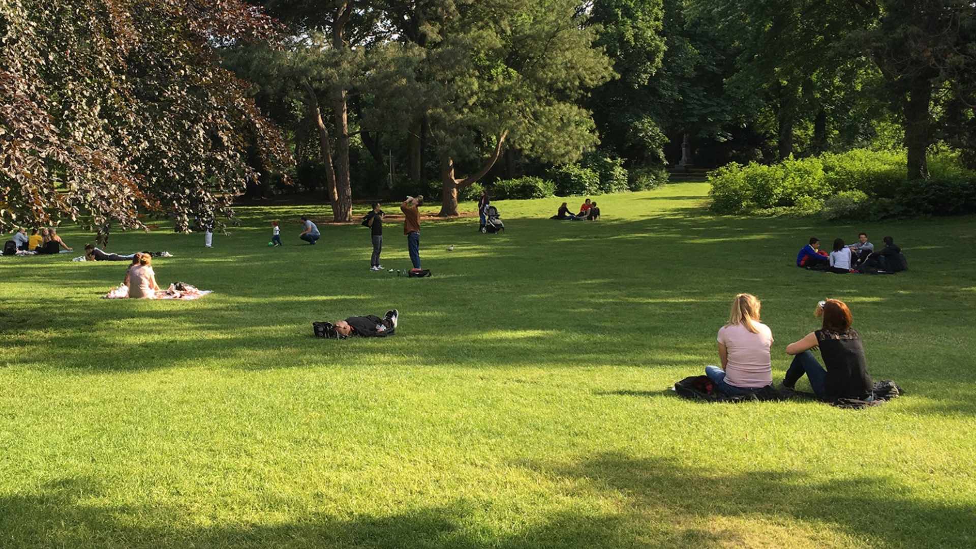 People relaxing and sitting on the grass in a sunny park