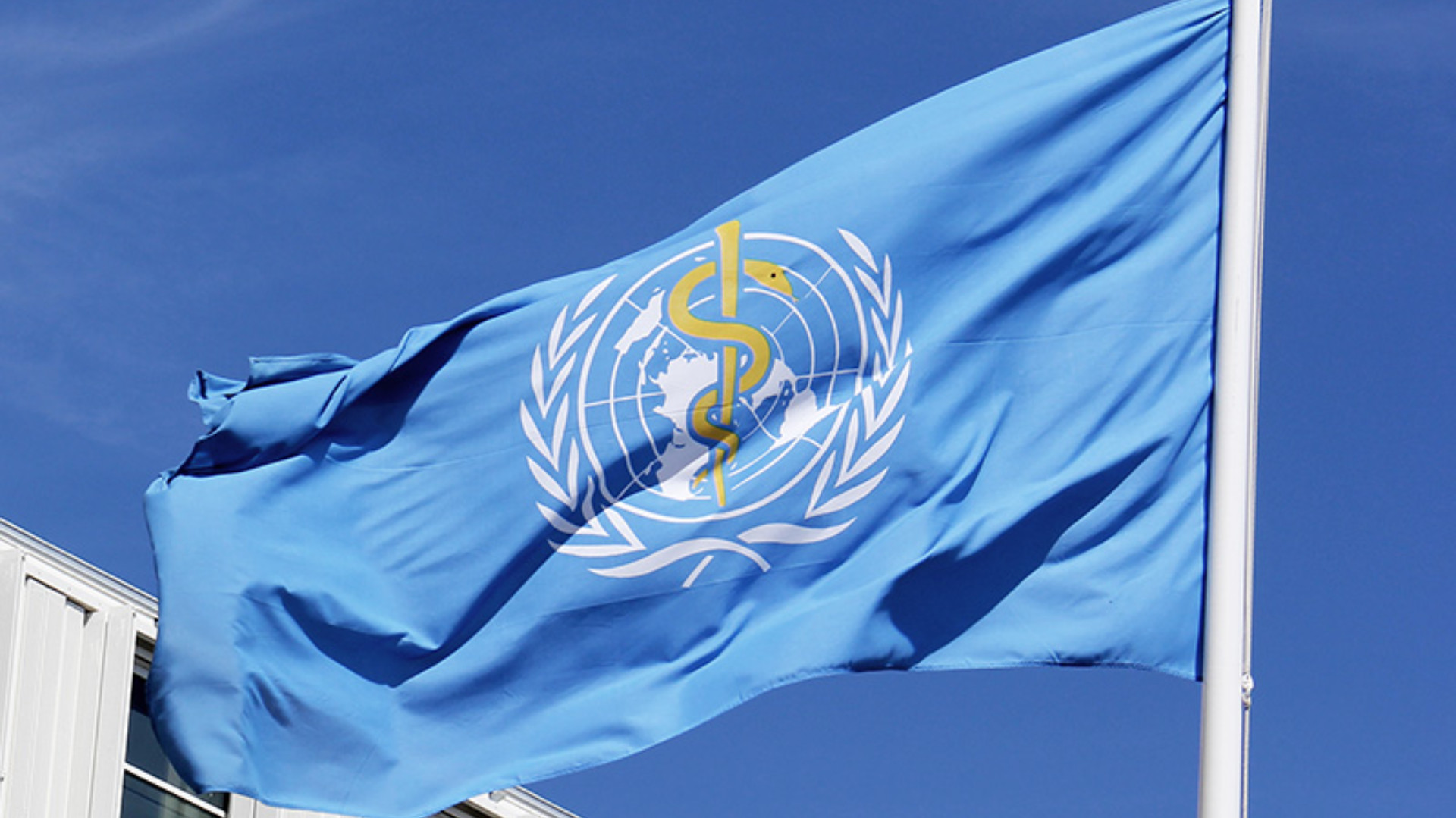 WHO flag WHO flag