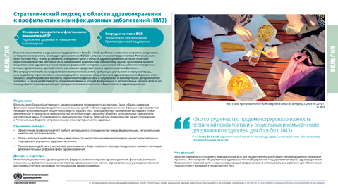 Отчет о страновых результатах	Бельгия	2024