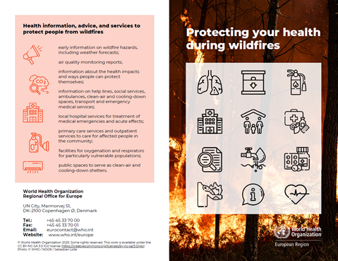 Protecting your health during wildfires - brochure