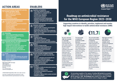 Roadmap on antimicrobial resistance for the WHO European Region 2023–2030 - AMR roadmap at a glance