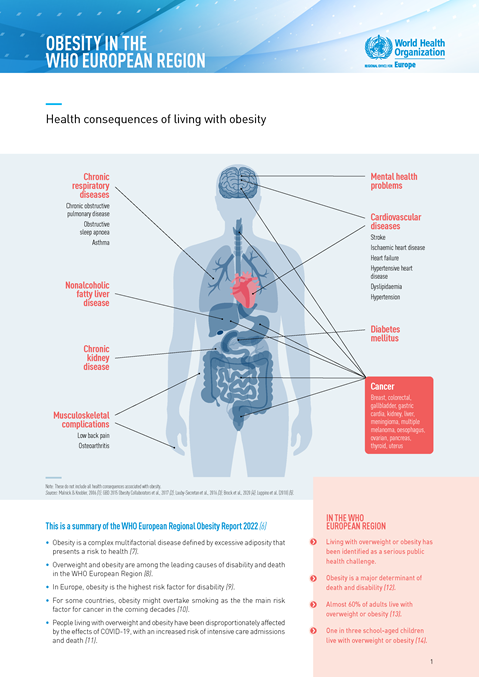Obesity in the WHO European region factsheet
