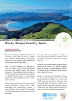 Regions for Health Network: Region profiles 2024 - Biscay, Basque Country, Spain