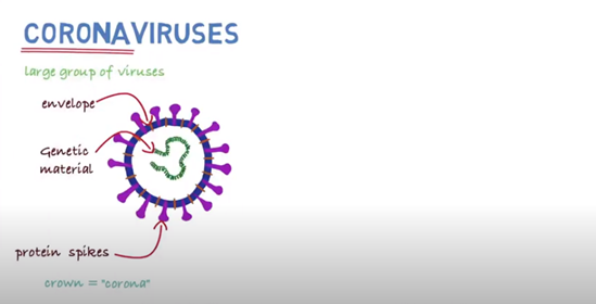 Novel coronavirus (2019-nCoV)