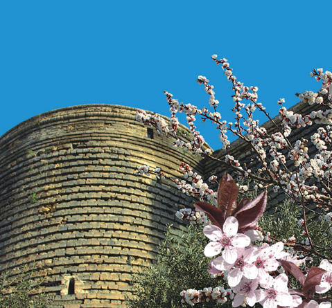 Oтчет о шестьдесят первой сессии Европейского регионального комитета ВОЗ