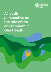 A health perspective on the role of the environment in One Health