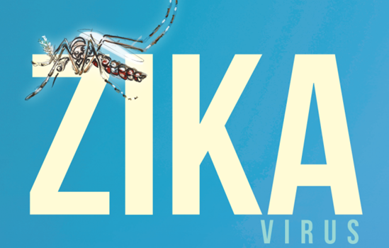Zika-image-std Zika virus