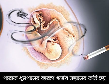 a fetus is unaffected by its mother's use of tobacco Second-hand smoke harms baby in mother's womb a fetus is unaffected by its mother's use of tobacco Second-hand smoke harms baby in mother's womb